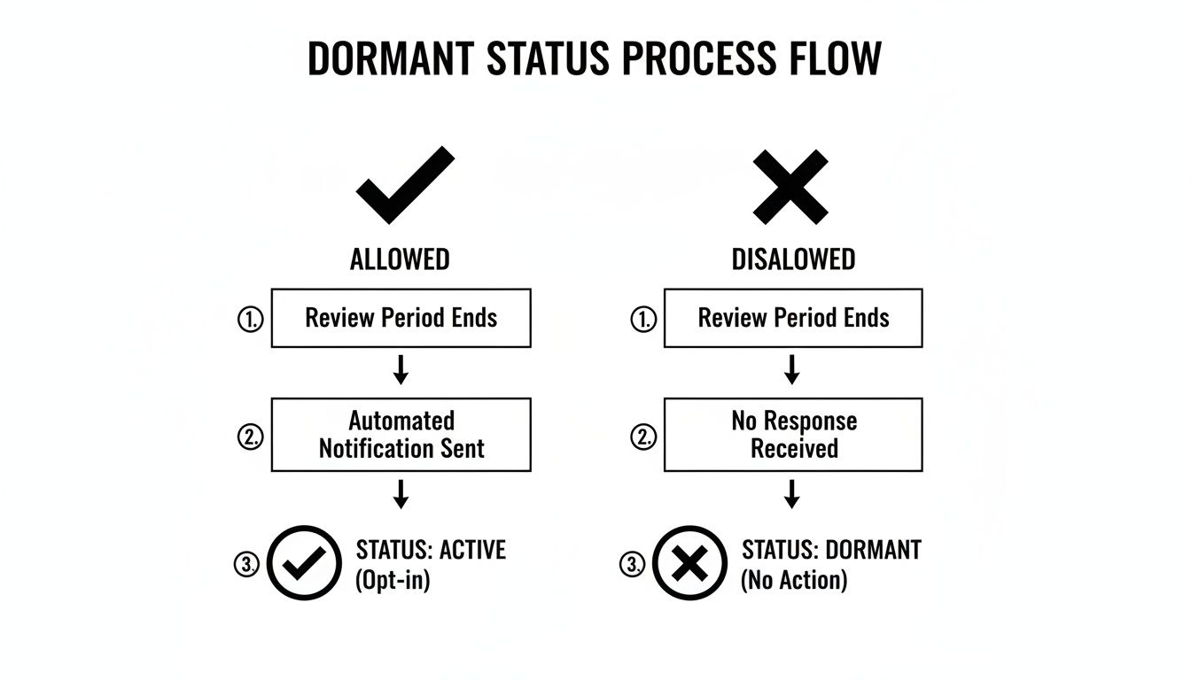 Dormant status process flow diagram illustrating conditions for active (opt-in) or dormant (no action) status.