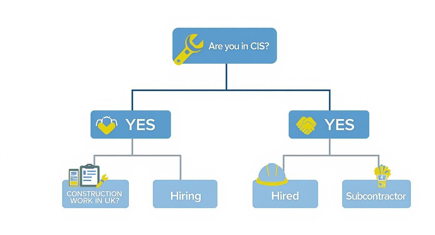 An infographic decision tree explaining whether you are a contractor or subcontractor under the Construction Industry Scheme, based on whether you hire or are hired for construction work in the UK.