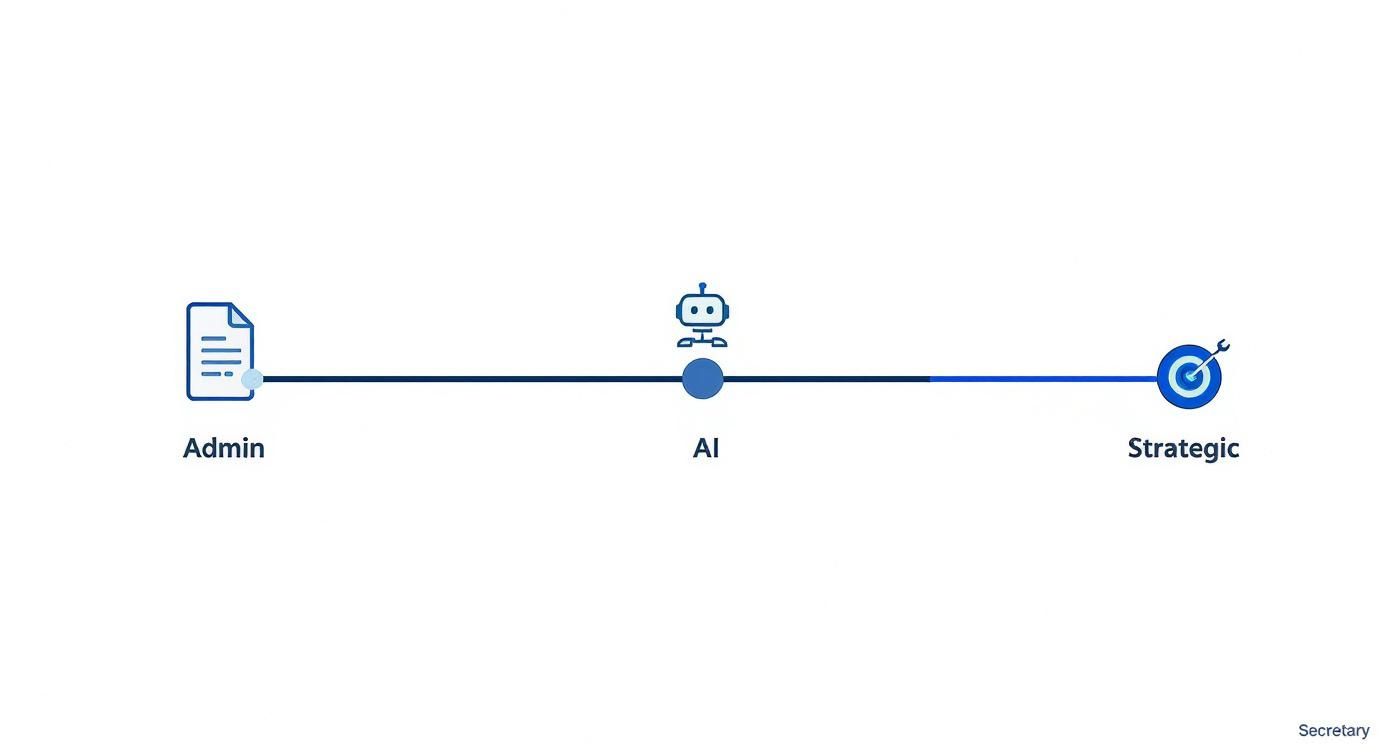 Infographic about company secretarial responsibilities