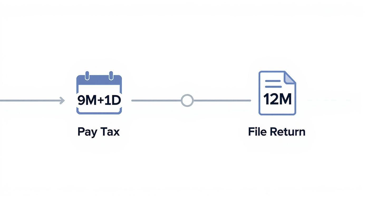 Timeline showing limited company tax payment deadline at nine months plus one day and filing return deadline at twelve months