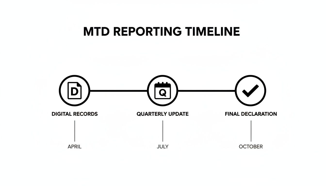 MTD reporting timeline showing digital records in April, quarterly updates in July, and final declaration in October.