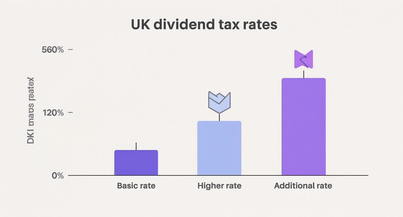 Infographic about salary versus dividends