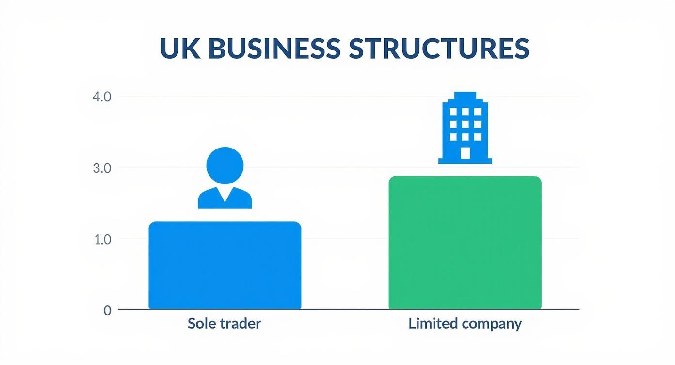 Infographic comparing the prevalence of sole traders and limited companies in the UK