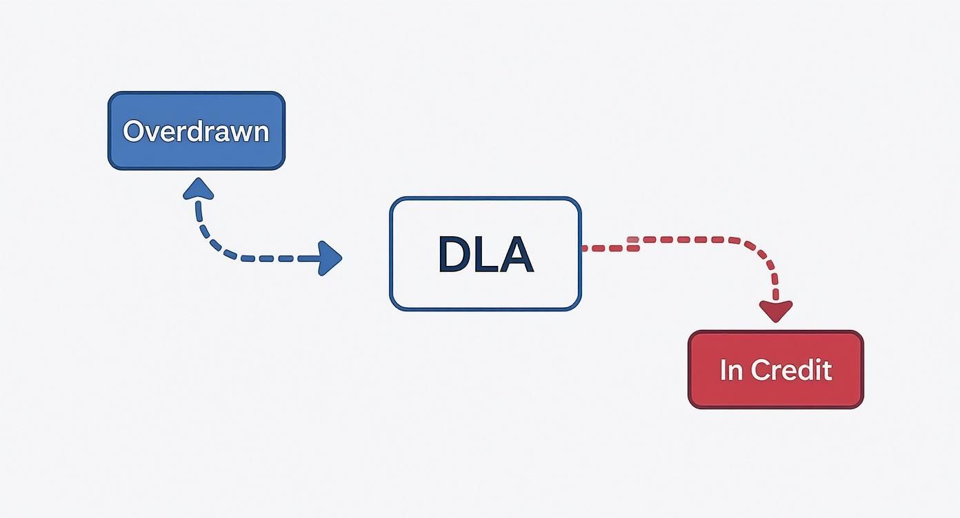 Infographic about director loan account