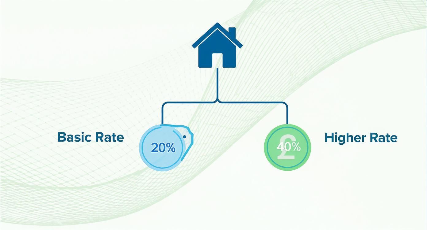 Infographic about rental income allowable expenses
