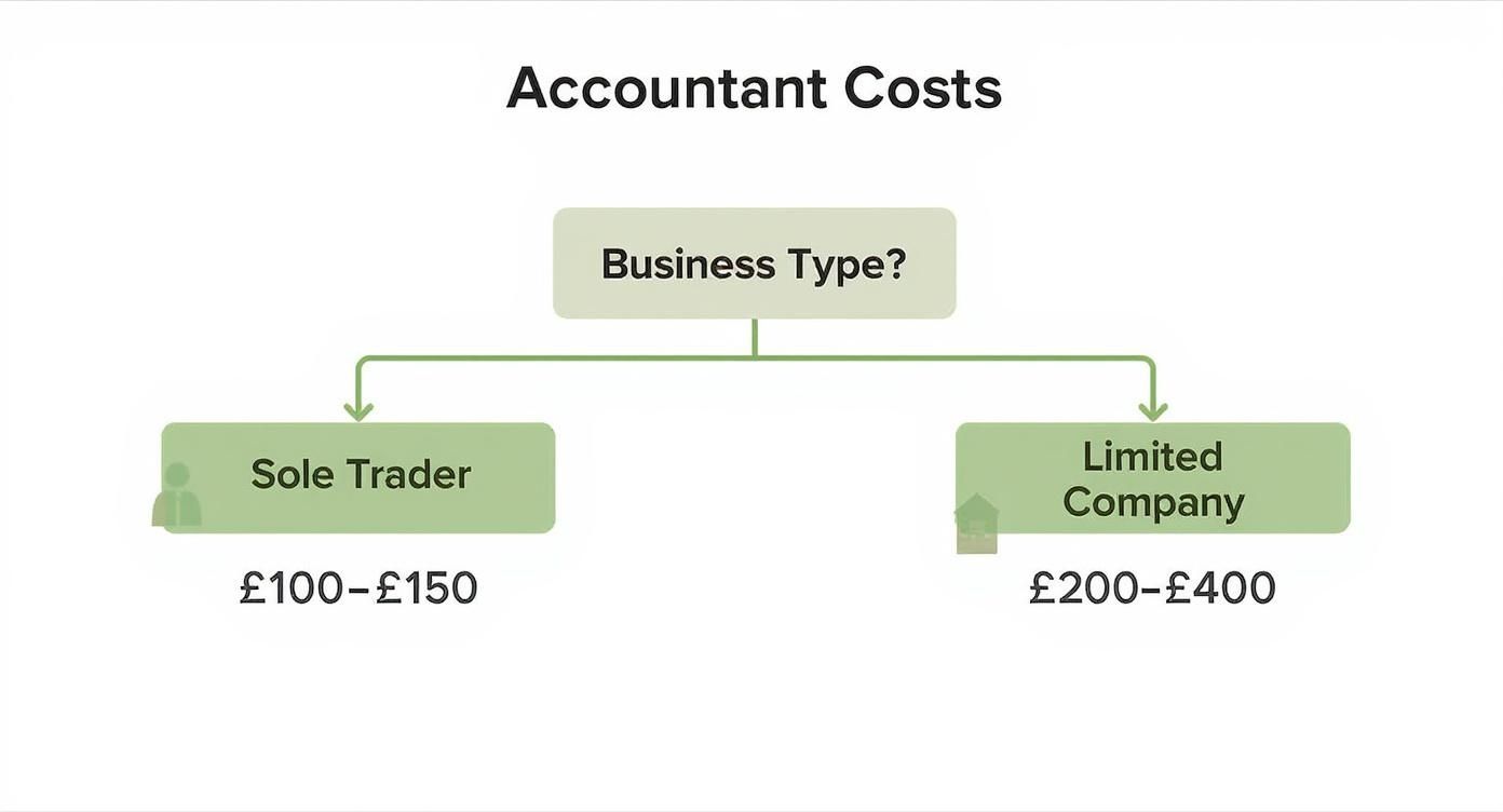 Infographic about accountant fees for small businesses