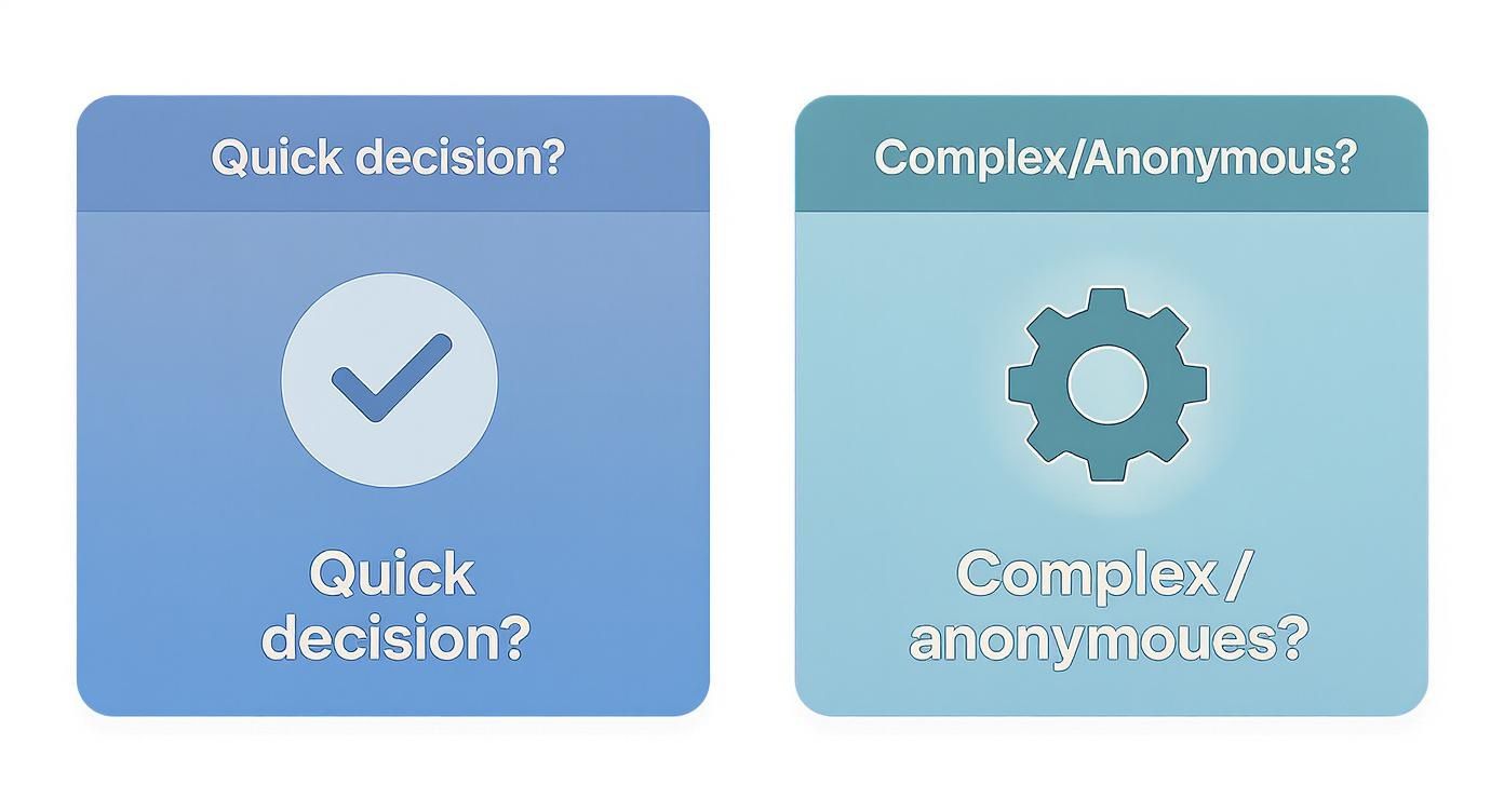 Two decision options displayed: quick decision with checkmark icon and complex anonymous decision with gear icon