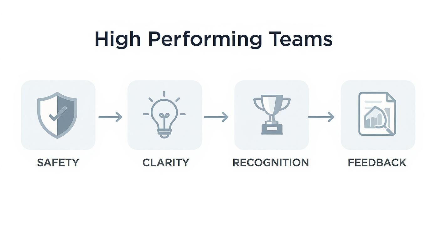 Infographic about how to build high performing teams