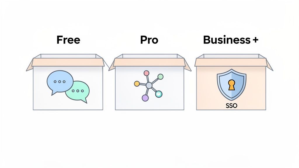 Three boxes labeled Free, Pro, and Business+ comparing features: chat bubbles, network icon, and SSO security shield.