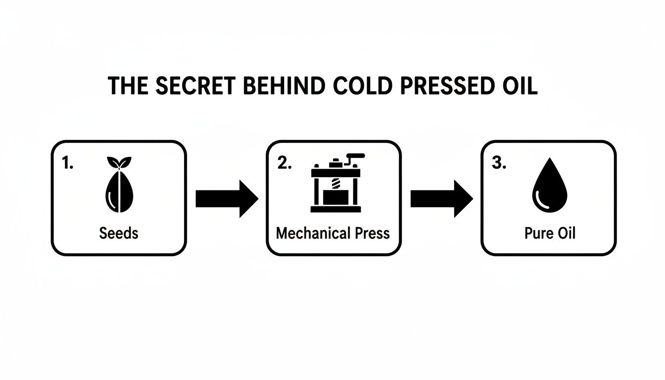 Diagram showing seeds pressed mechanically to produce pure cold-pressed oil.