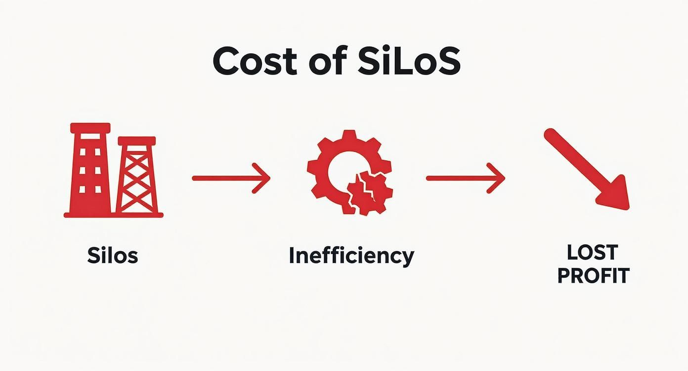 Infographic about breaking down organizational silos