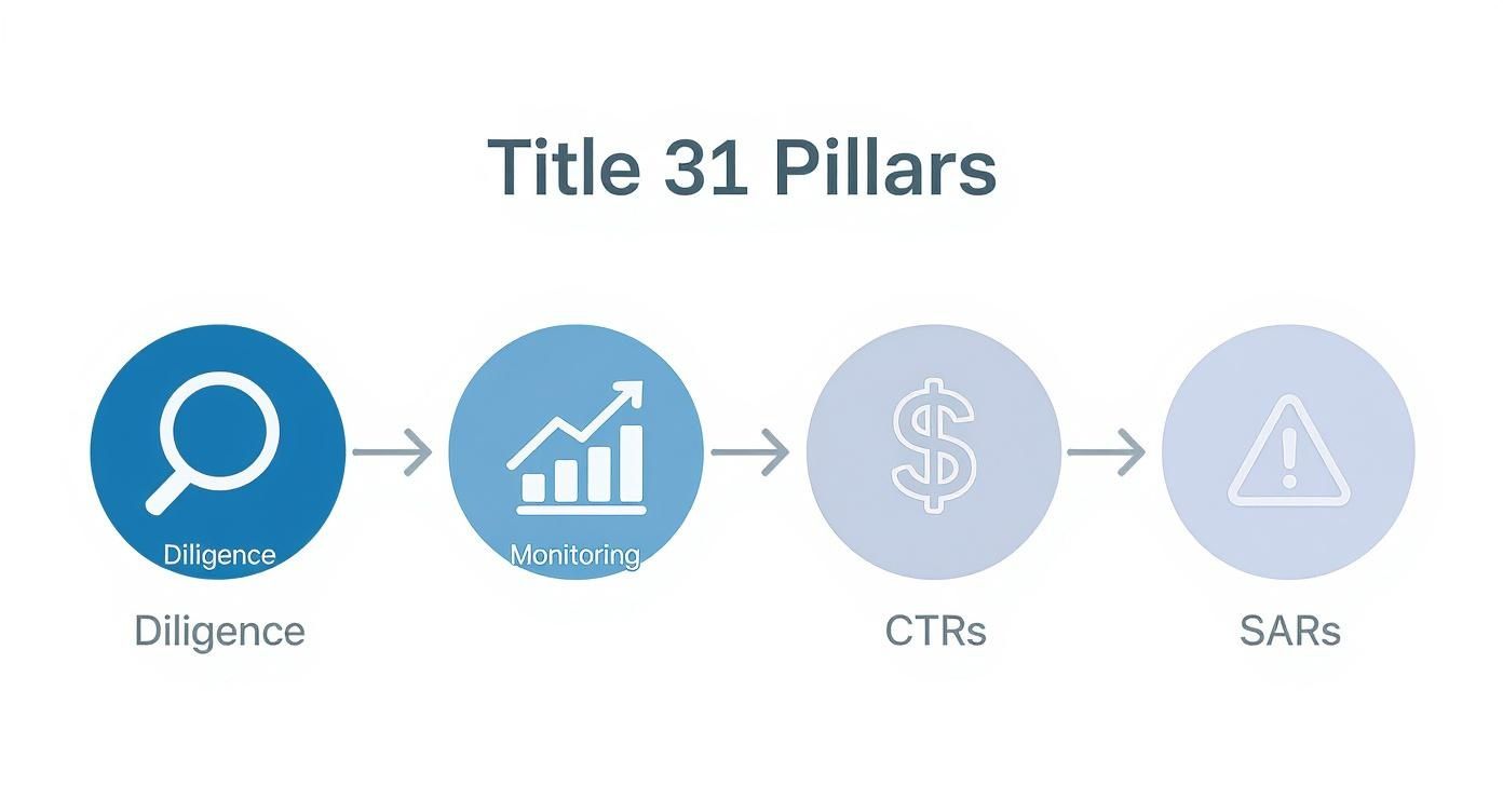 Infographic about AI compliance tools for gaming (Title 31)