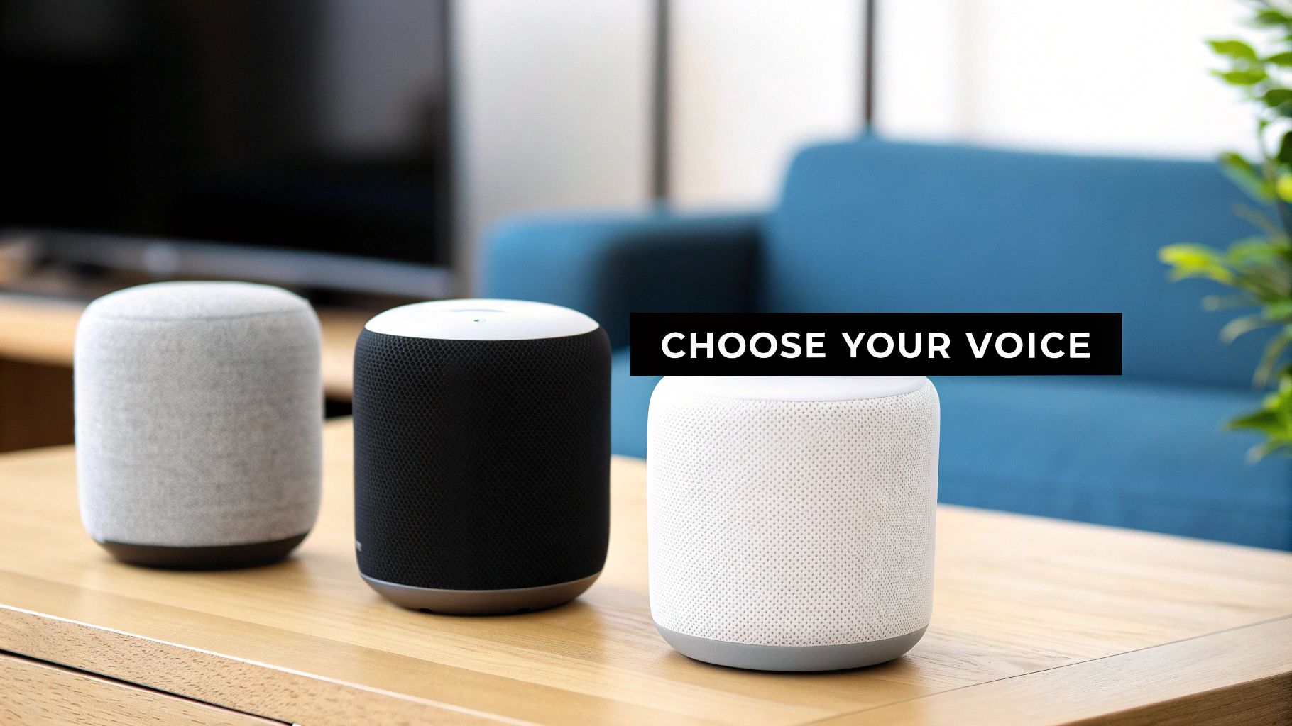 Three smart speakers in gray, black, and white on a wooden table, with 'CHOOSE YOUR VOICE' text.