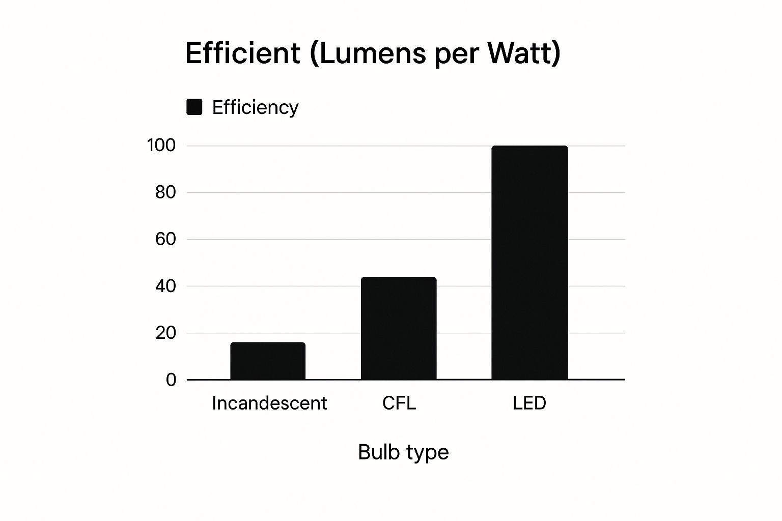 Infographic about energy efficient lighting options