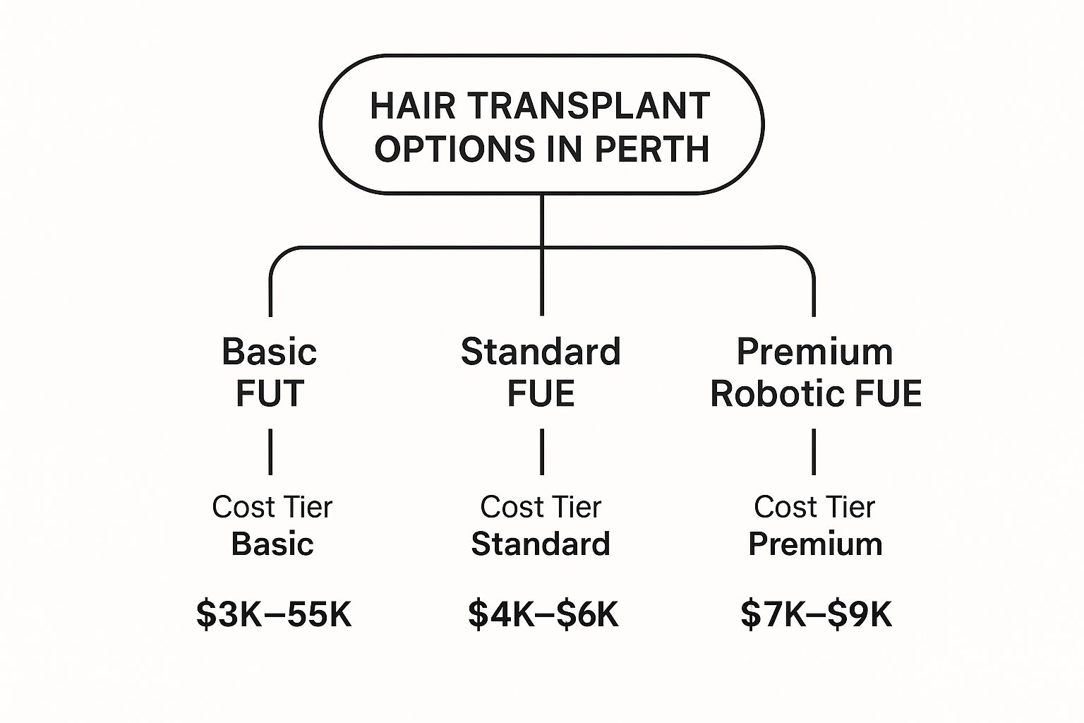 Infographic about hair transplant cost perth