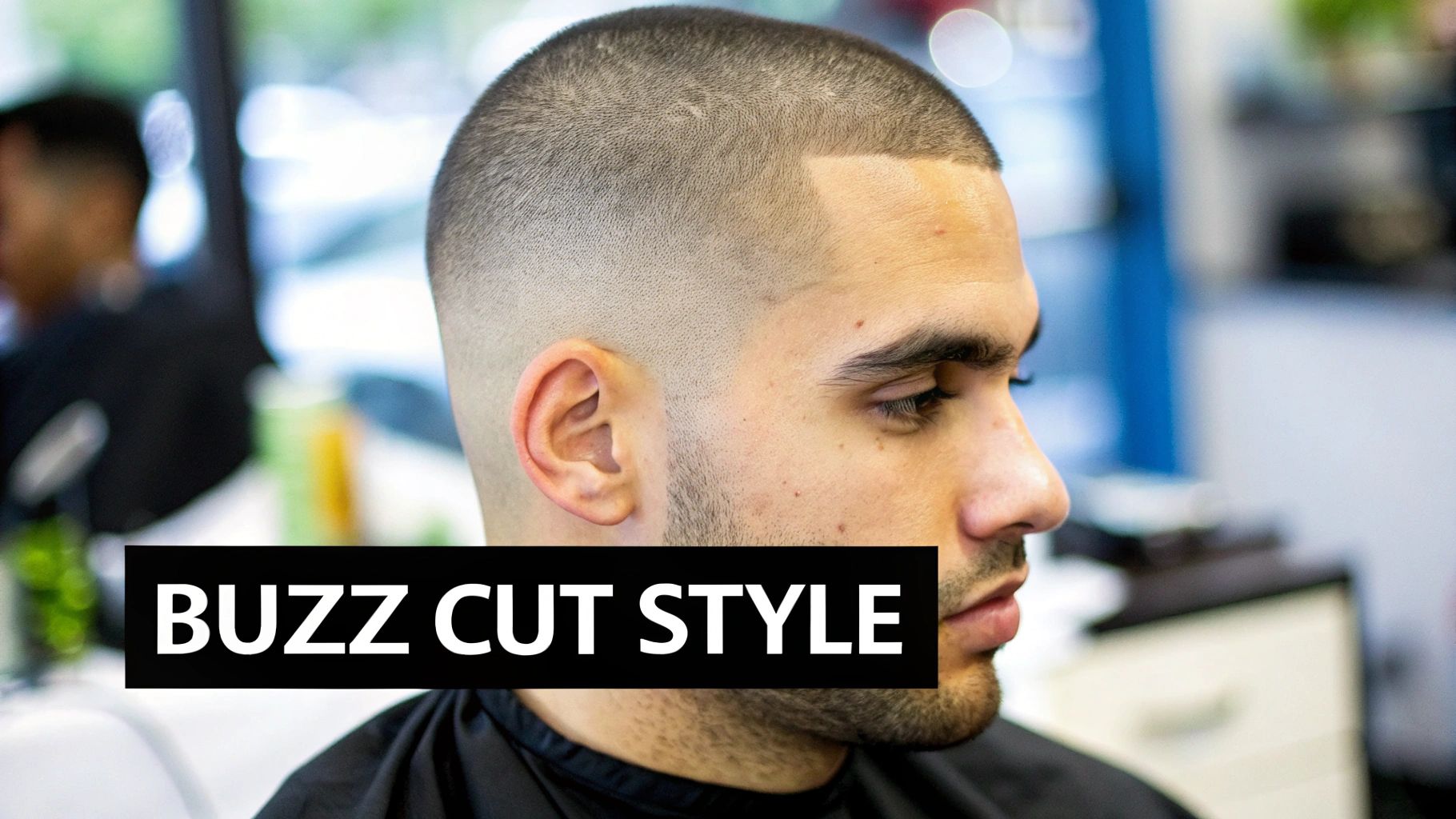 The Buzz Cut