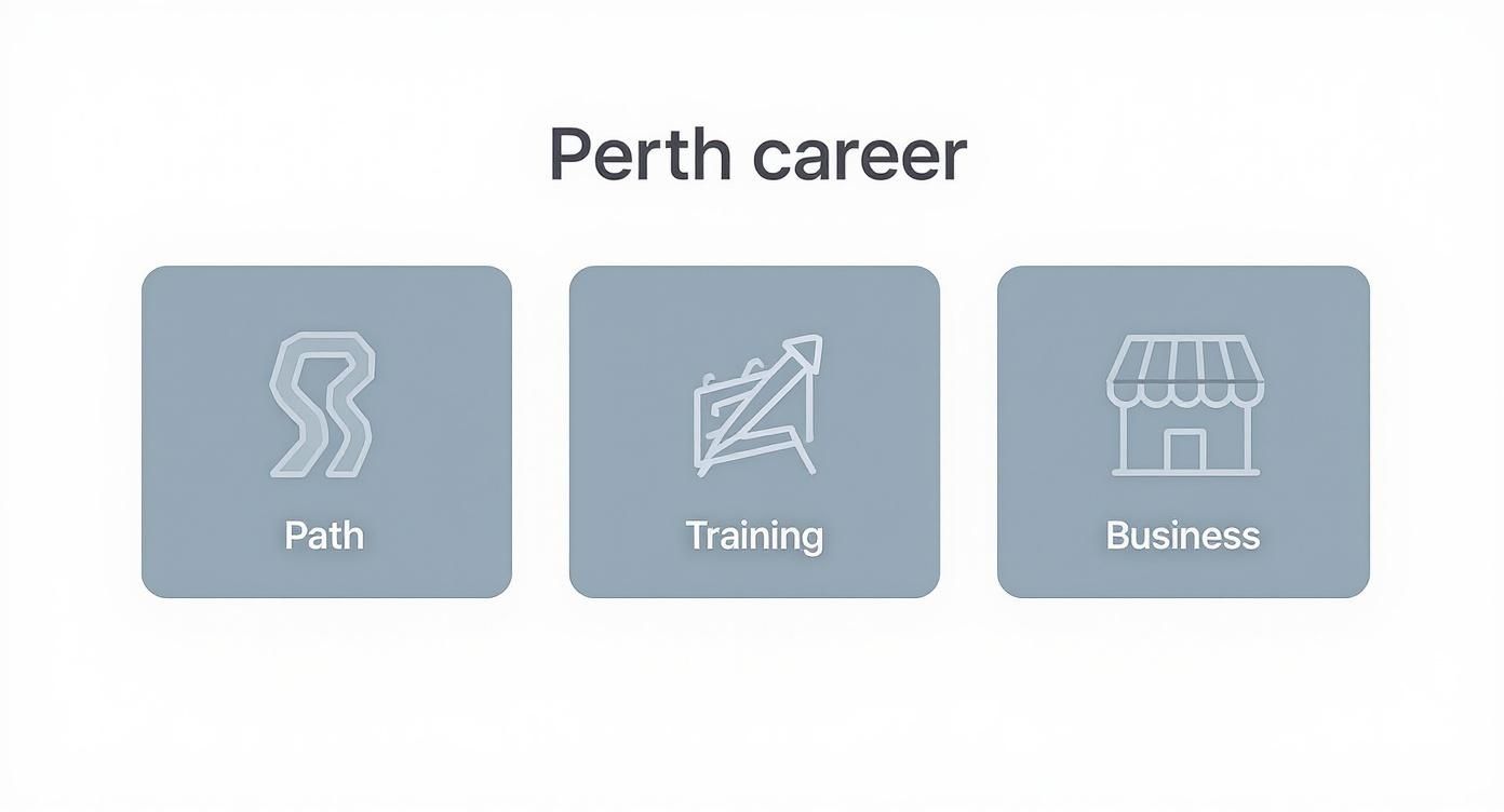 Three career pathway options for Perth SMP training including path, training, and business development