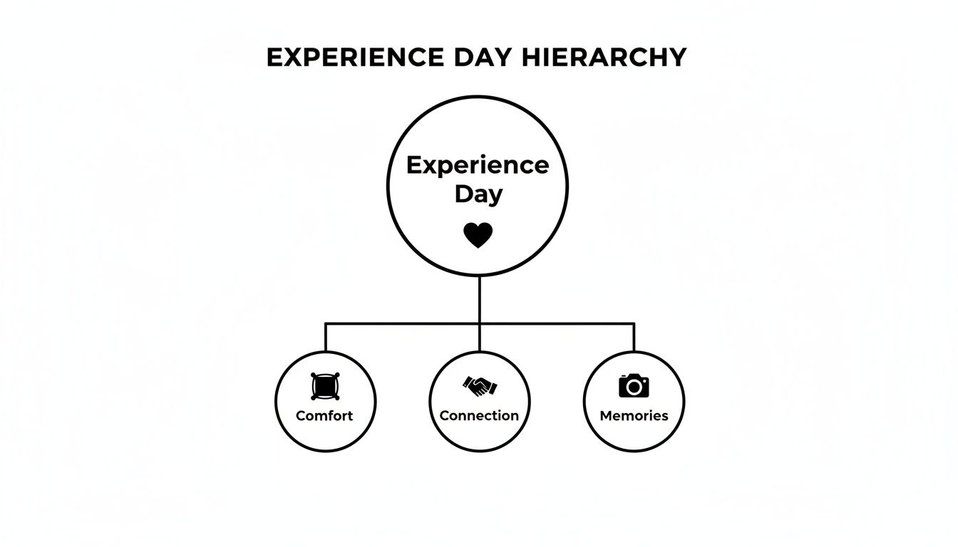 A hierarchy diagram illustrating 'Experience Day' at the top, branching into 'Comfort', 'Connection', and 'Memories'.