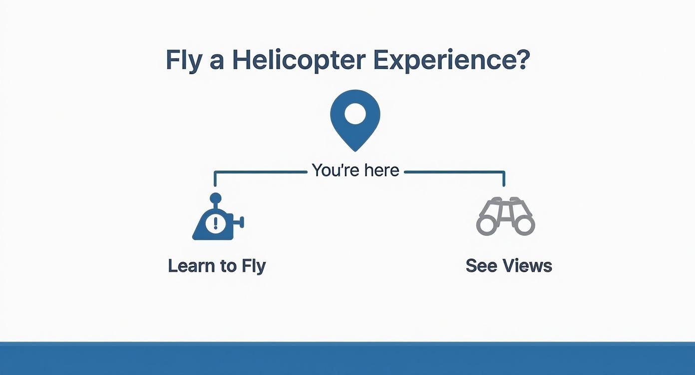 Infographic about fly a helicopter experience