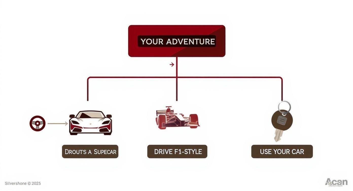 A flowchart titled 'YOUR ADVENTURE' with options: drive a supercar, drive F1-style, or use your car.