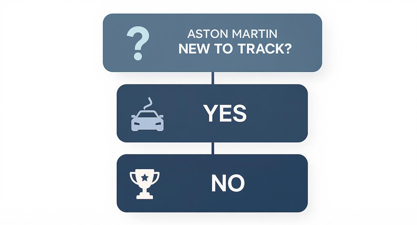 Flowchart for Aston Martin track driving experience: 'New to Track?' with 'Yes' (car) and 'No' (trophy) options.