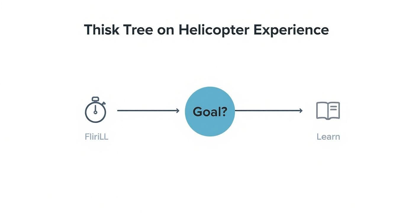 A conceptual diagram showing a flow from 'Flirill' to 'Goal?' and 'Learn' for a helicopter experience.