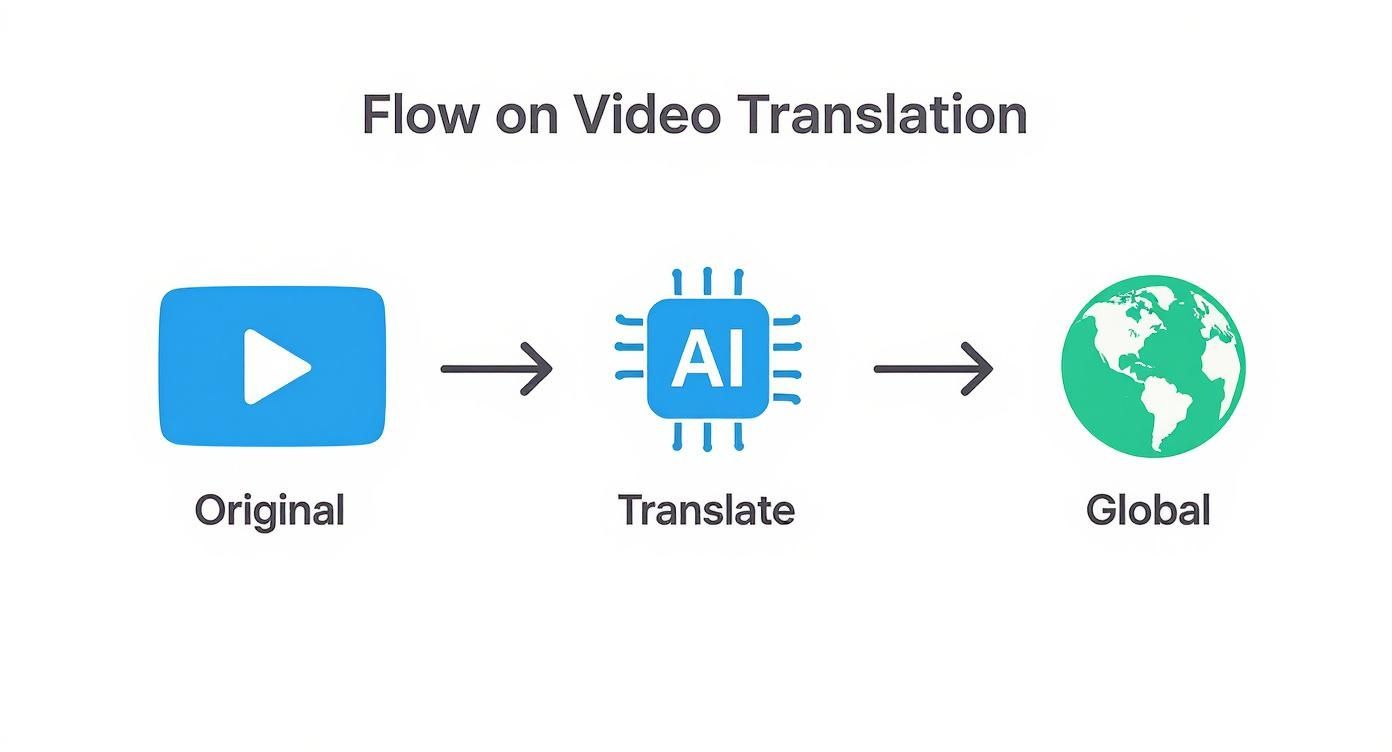 Infographic about video translation application