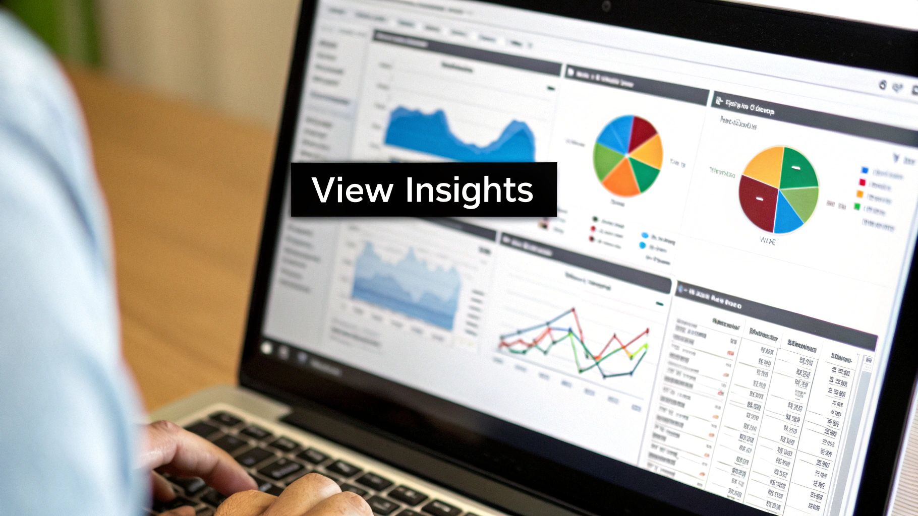 GMB Insights
