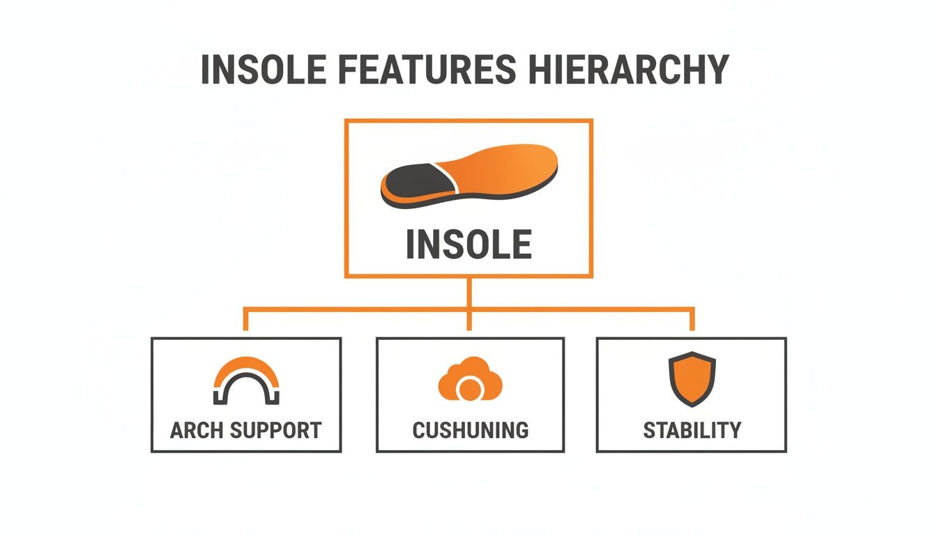 A hierarchy diagram illustrating insole features: Arch Support, Cushioning, and Stability.