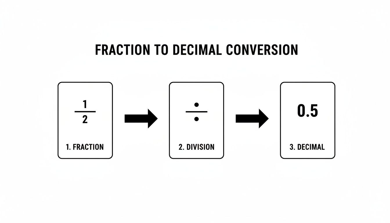 A diagram illustrates fraction to decimal conversion: 1/2 as a fraction, followed by division, resulting in 0.5 as a decimal.