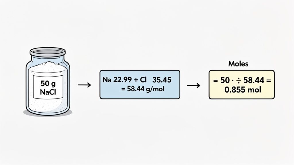A diagram illustrating the step-by-step calculation of moles from 50 grams of NaCl, including molar mass.