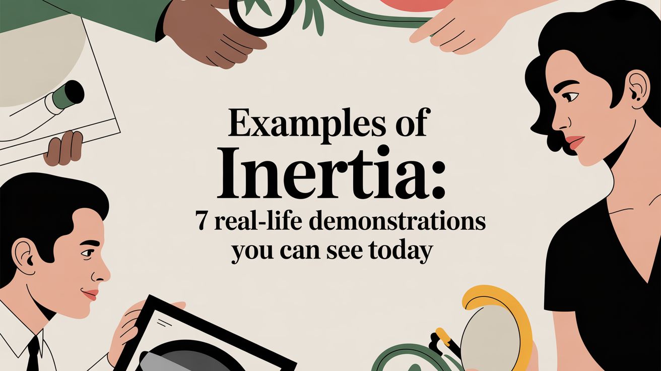 Examples of inertia: 7 Real-Life Demonstrations You Can See Today