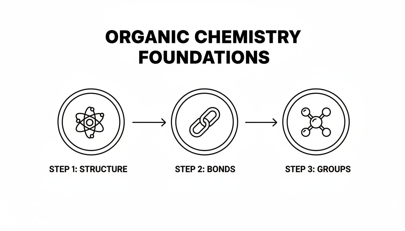 Flow chart illustrating organic chemistry foundations: Step 1 Structure, Step 2 Bonds, Step 3 Groups.
