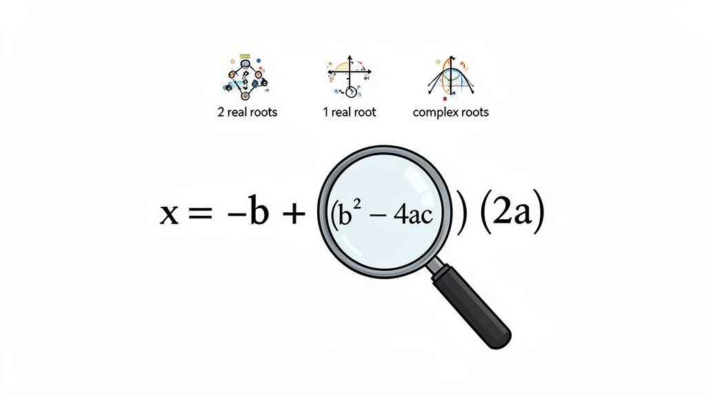 Illustration of the quadratic formula, emphasizing the discriminant and its relation to real and complex roots.