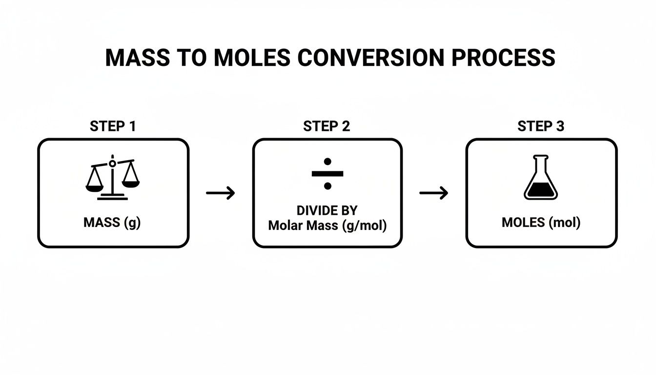 Flowchart illustrating the three-step process for converting mass in grams to moles using molar mass.