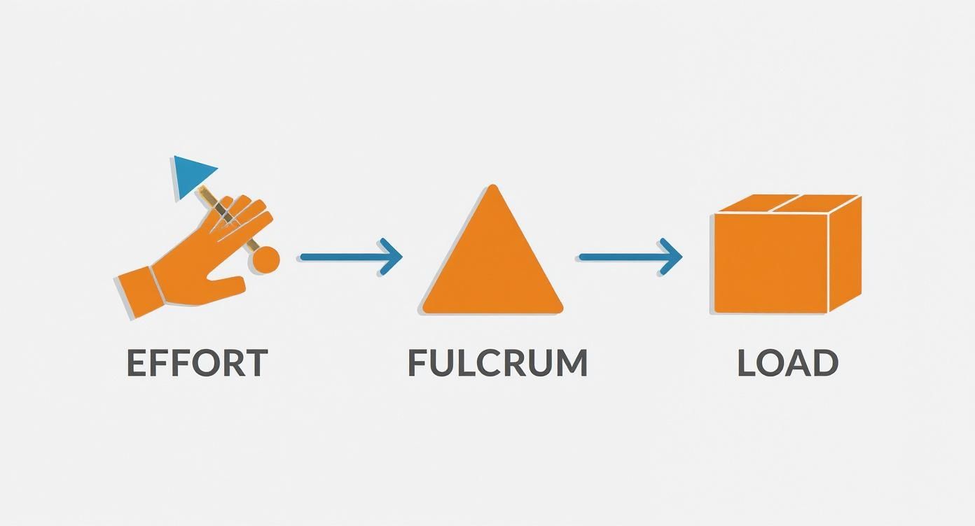 Diagram illustrating the three components of a lever system: effort, fulcrum, and load with arrows.