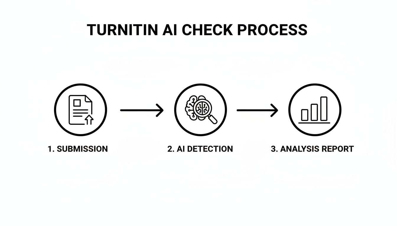 Flowchart illustrating the Turnitin AI check process: submission, AI detection, and analysis report.
