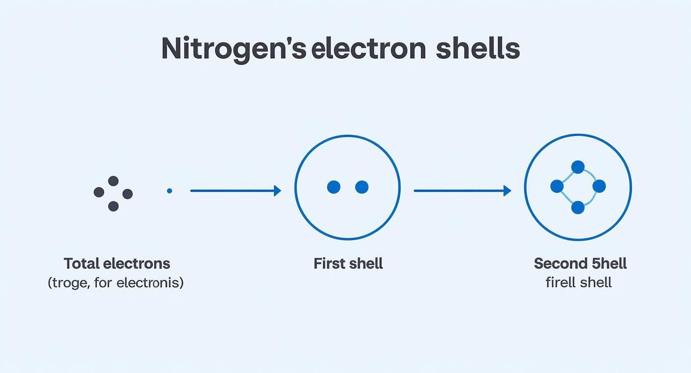Infographic about bohr diagram for nitrogen