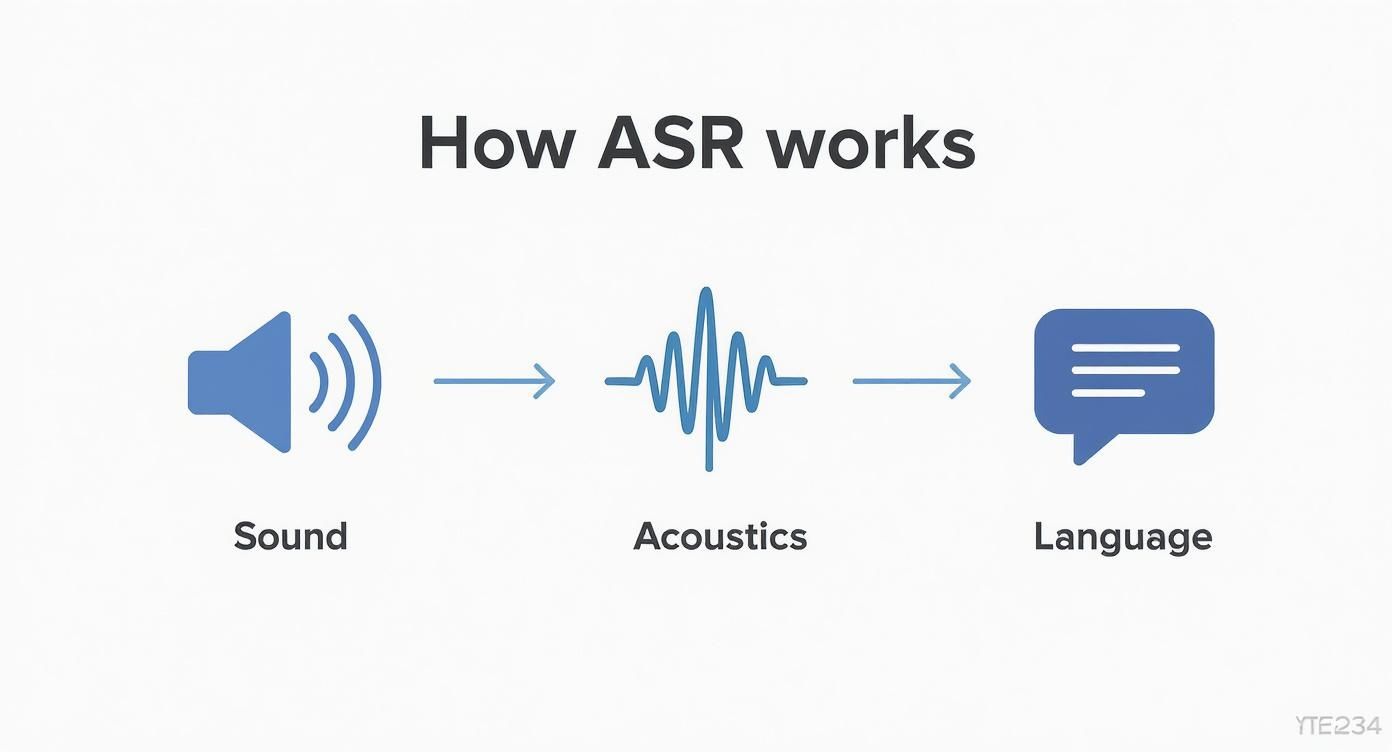 Infographic about audio to text