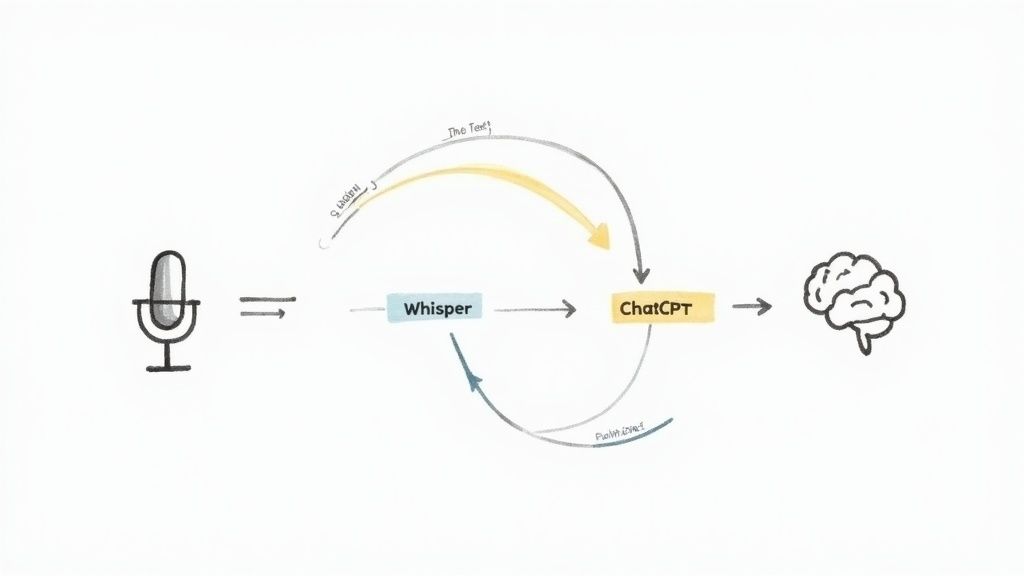 Captura de pantalla de https://openai.com/chatgpt/
