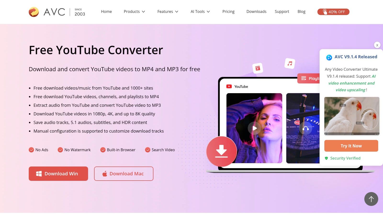Any Video Converter (AVC)