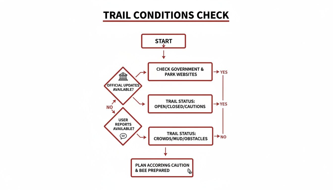 Flowchart detailing steps to check trail conditions, including official updates and user reports.