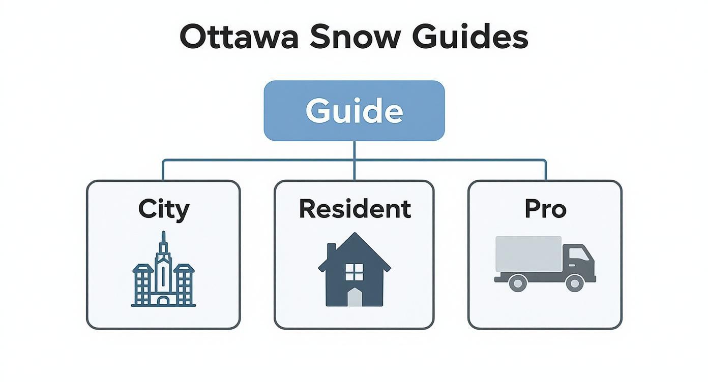 Diagram illustrating Ottawa Snow Guides categorized for City, Resident, and Professional snow removal services.