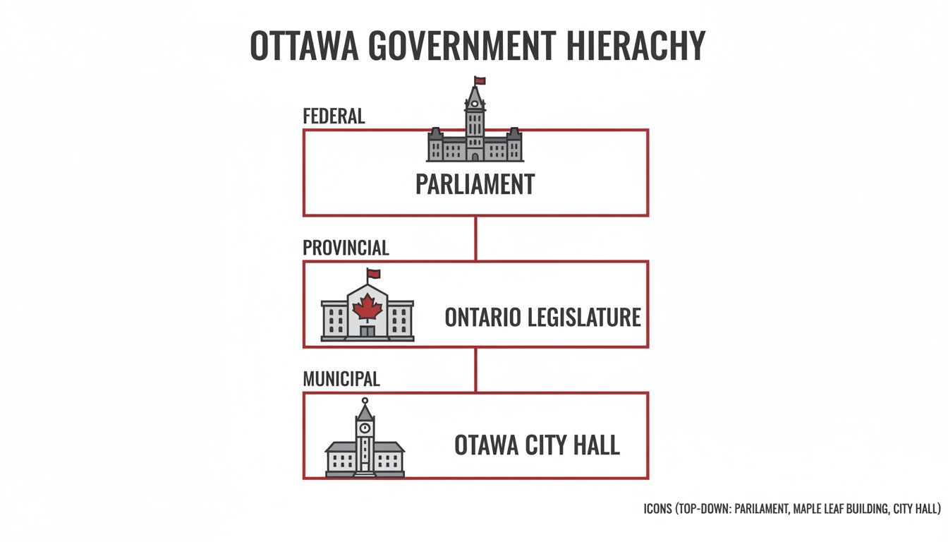 A diagram illustrating the Ottawa government hierarchy, featuring federal Parliament, provincial Ontario Legislature, and municipal Ottawa City Hall.