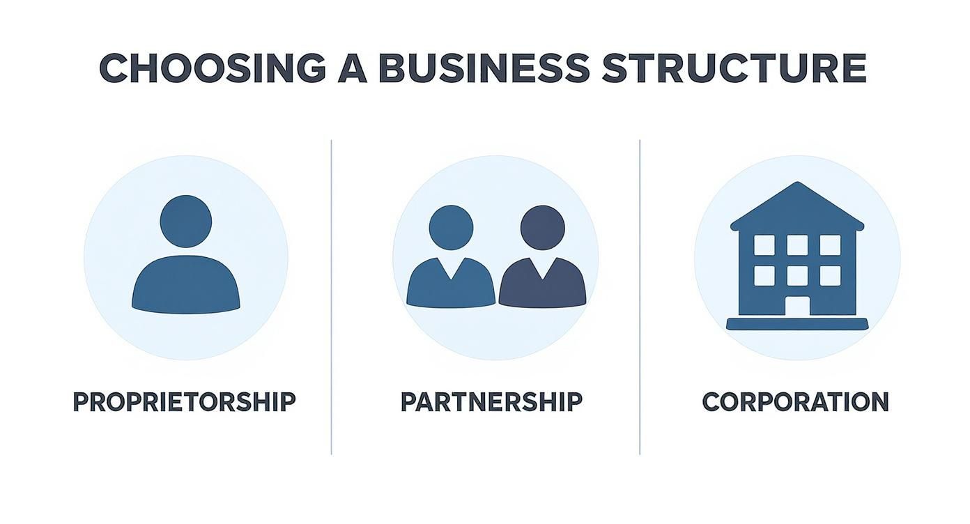 An infographic comparing Sole Proprietorship, Partnership, and Corporation structures with icons representing each.