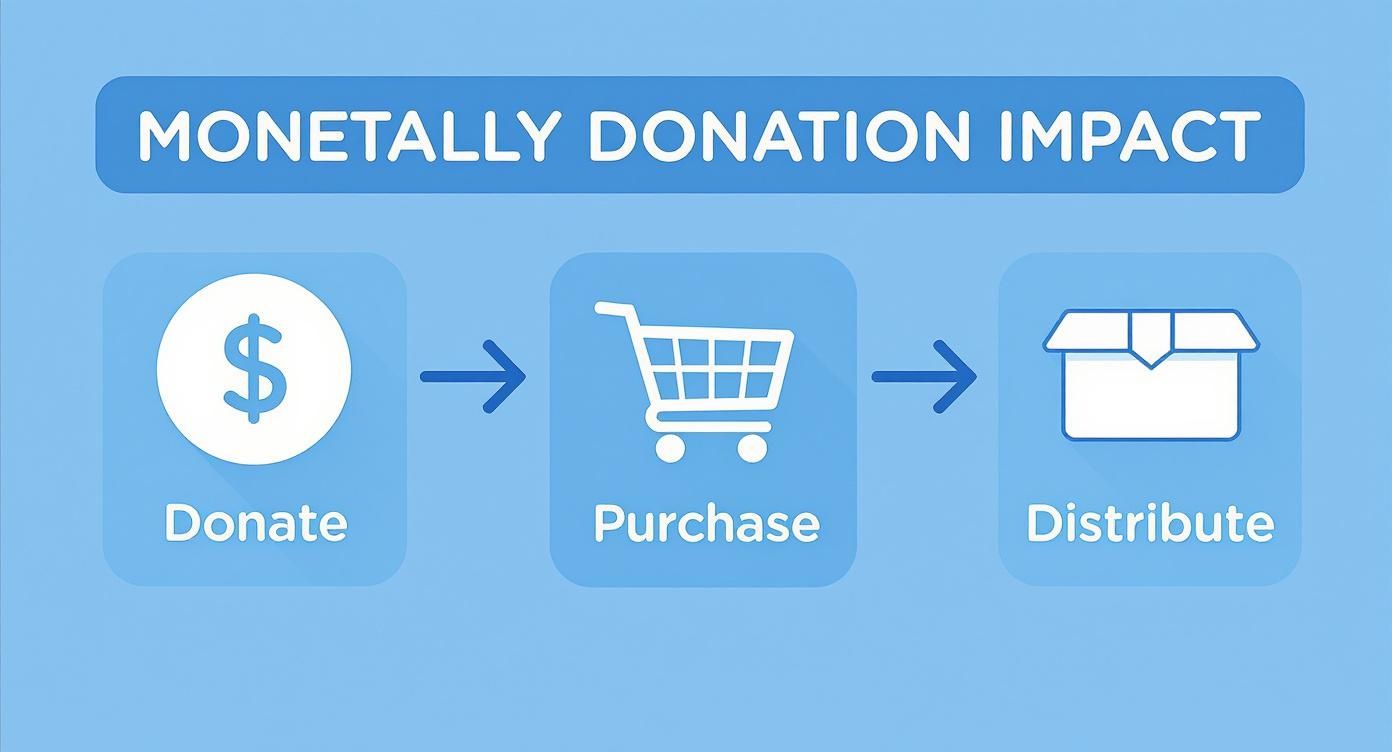 Infographic showing monetary donation impact workflow from donate to purchase to distribute with icons