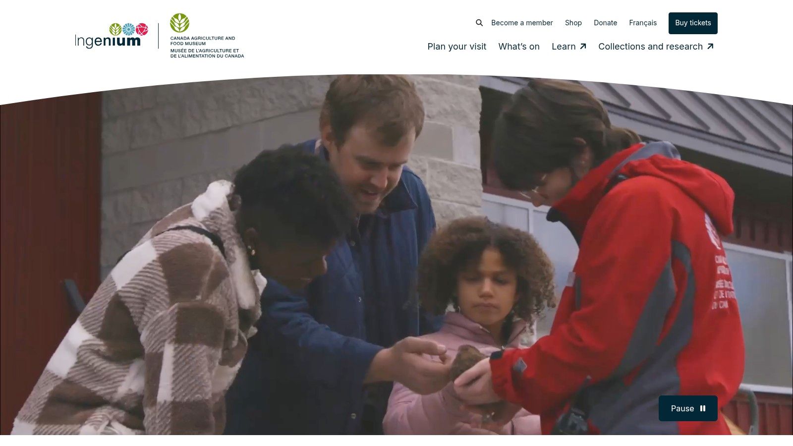 A young visitor interacts with a calf at the Canada Agriculture and Food Museum, showcasing the hands-on experiences available.