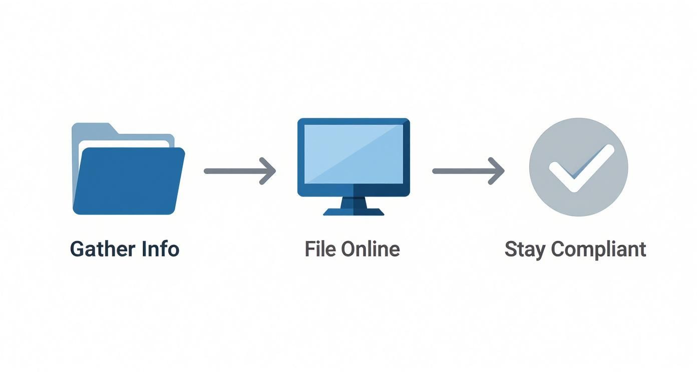 Three-step process showing folder, computer monitor, and checkmark icons for online filing workflow