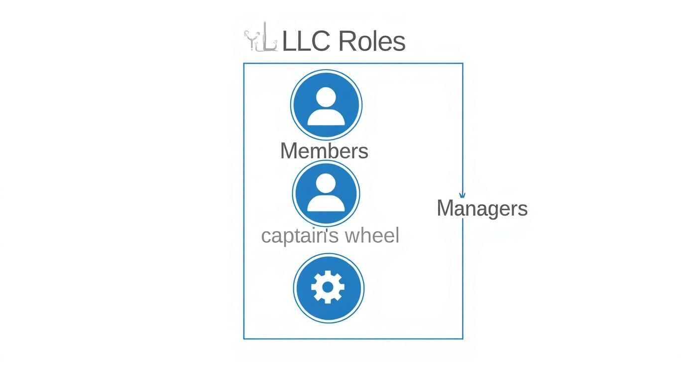 Diagram showing LLC roles hierarchy with members, managers, and captains wheel icons in blue