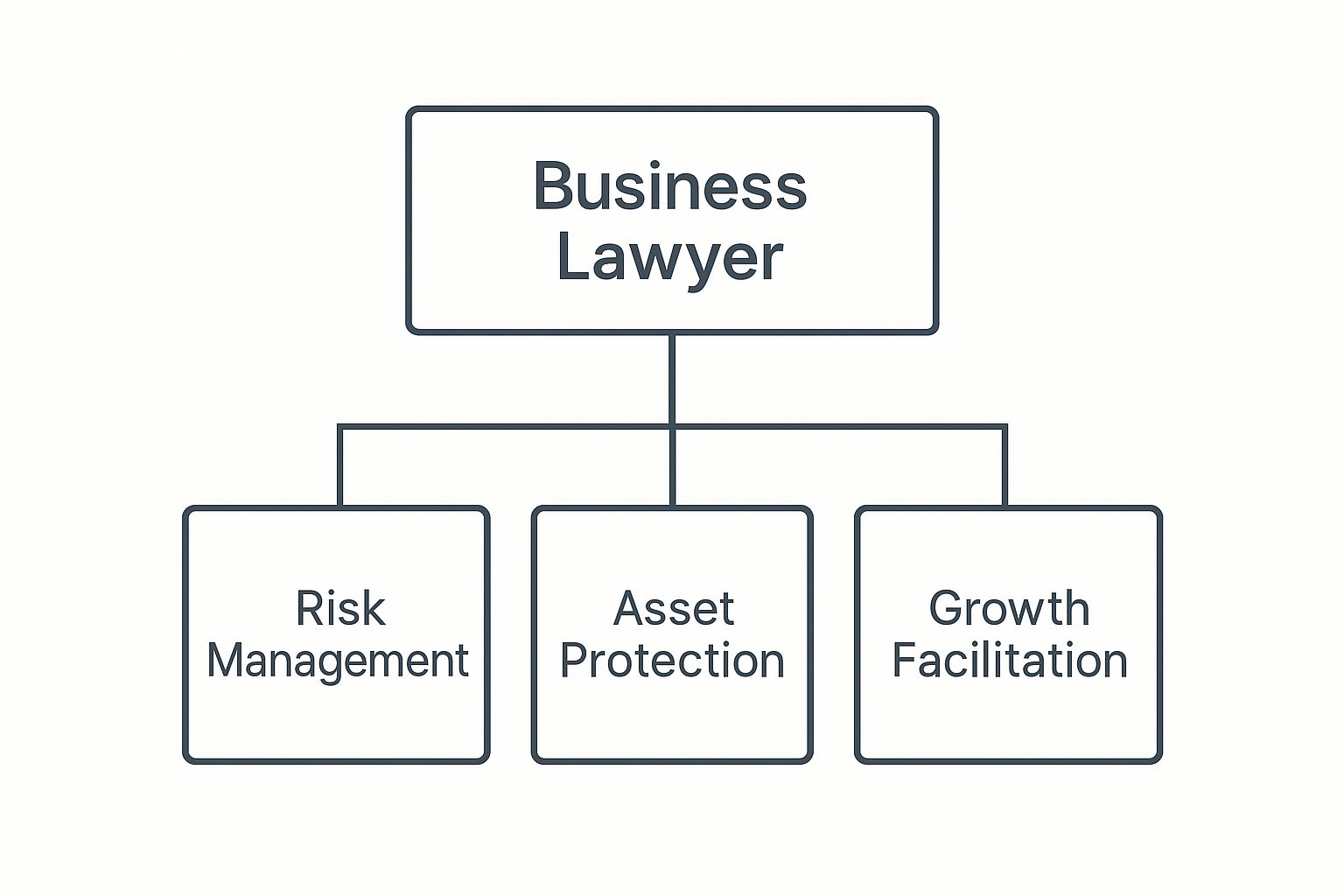 Infographic about what does a business lawyer do